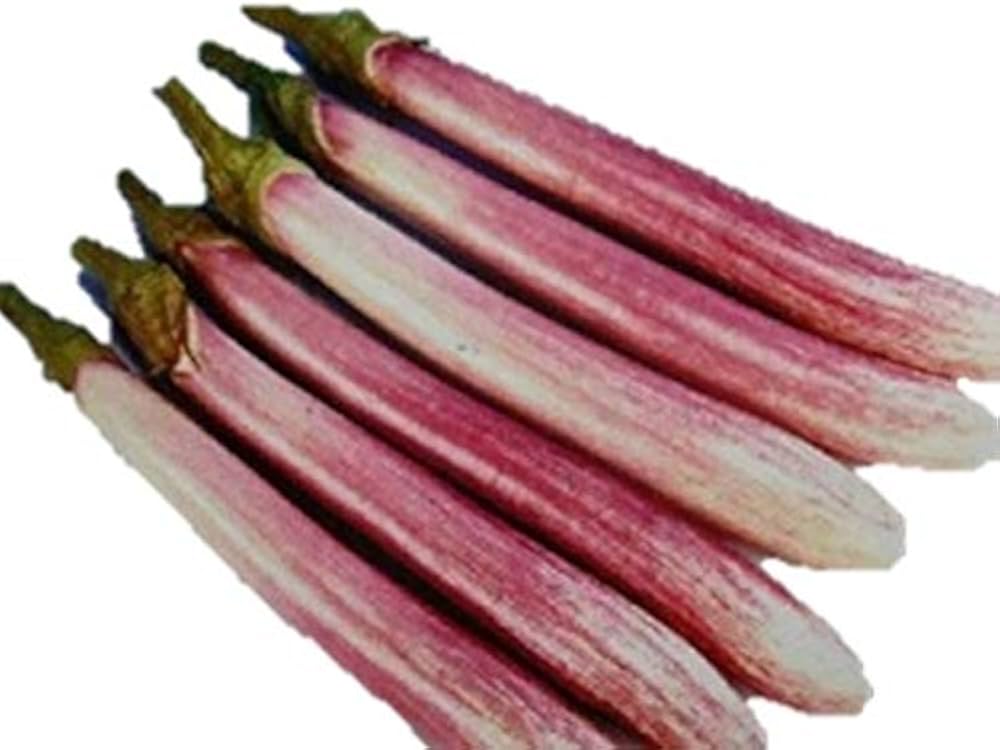 Amazon.co.jp: 植物種子 珍しい 紫白長なす 種 6粒 : DIY・工具・ガーデン