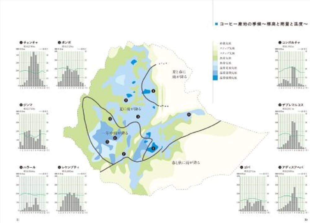 モカに始まり | 森光宗男 |本 | 通販 | Amazon