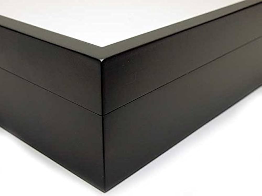 志賀昆虫大型ドイツ箱2箱セット 大型標本箱(ドイツ箱？)3個セット