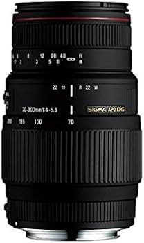 Amazon.co.jp: SIGMA 望遠ズームレンズ APO 70-300mm F4-5.6 DG MACRO