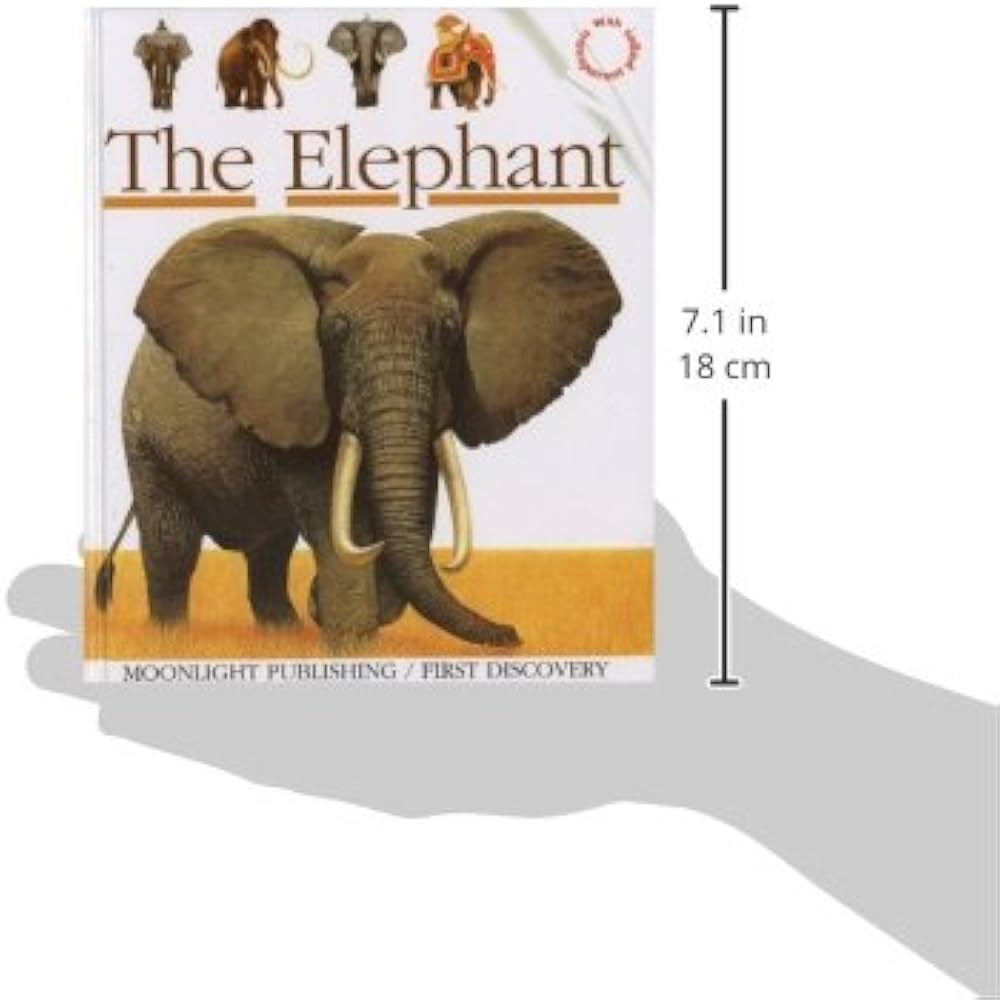 The Elephant (First Discovery): Prunier, James, Prunier, James