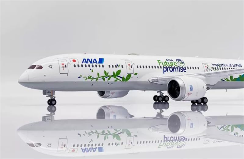 Amazon.com: ACE HOBBY JC Wings All Nippon Airways for Boeing B787