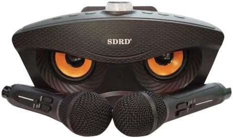 SDRD SD-306 ワイヤレスカラオケ Bluetooth スピーカー ユーザーマニュアル