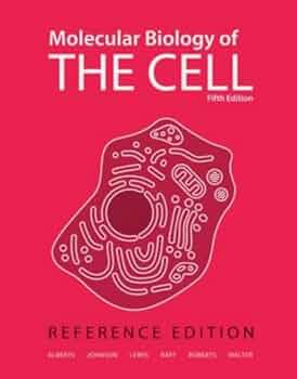 41sgTCkbnDL._AC_UF350,