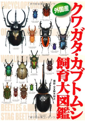 外国産クワガタ・ガブトムシ飼育大図鑑 | 鈴木 知之 |本 | 通販 | Amazon