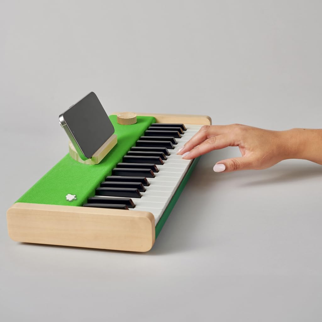 Amazon.com: Loog Digital Piano - Portable Keyboard for Beginners
