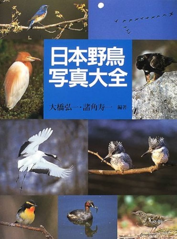 日本野鳥写真大全 | 大橋 弘一, 諸角 寿一 |本 | 通販 | Amazon