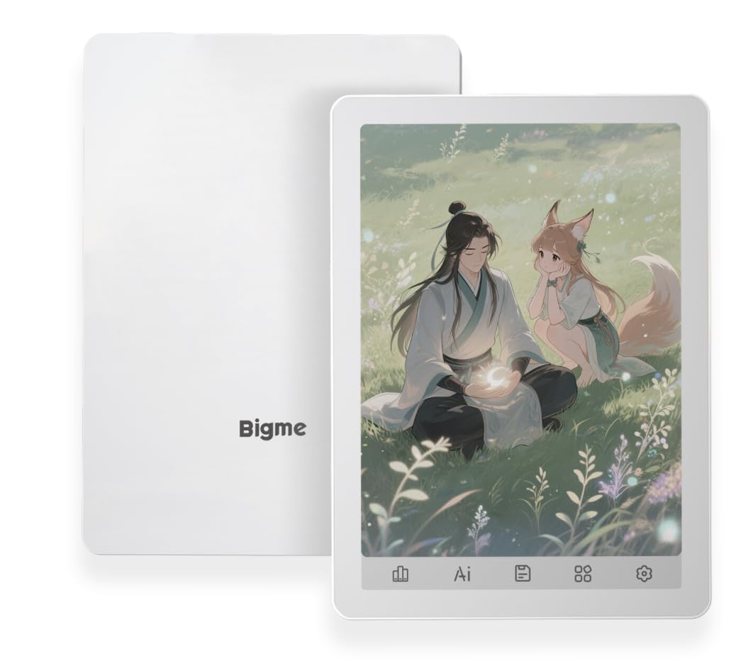 Amazon.com: Bigme B6 Color Ebook Reader, 6 Inch e-Paper Tablet
