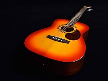 Amazon | Cort CAG-1F CAO アコースティックギター初心者12点セット