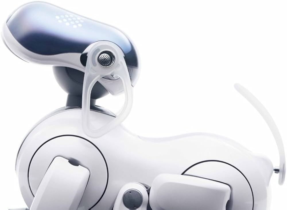 SONY DESIGN MAKING MODERN | ディヤン・スジック, イアン・ルナ