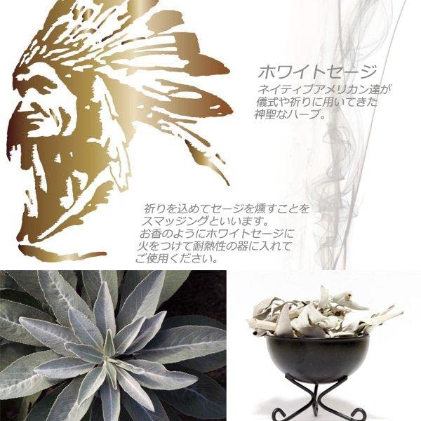 Amazon.co.jp: sin(シン) 無農薬 ホワイトセージ 枝無し(リーフ) 約10g