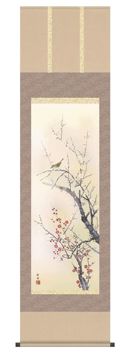 Amazon.co.jp: 掛け軸／掛軸 紅白梅に鶯 （田村 竹世） : ホーム＆キッチン