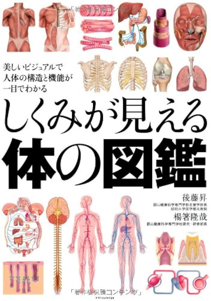 Amazon.co.jp: しくみが見える体の図鑑 : 後藤 昇, 楊箸隆哉: 本