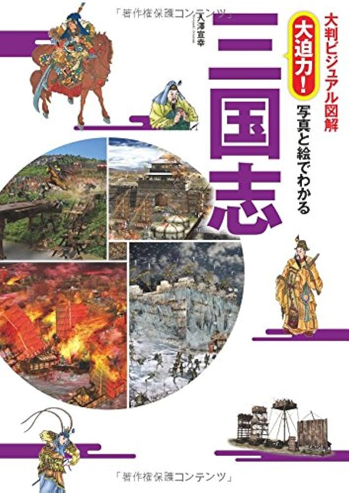 大判ビジュアル図解 大迫力! 写真と絵でわかる三国志 | 入澤宣幸 |本