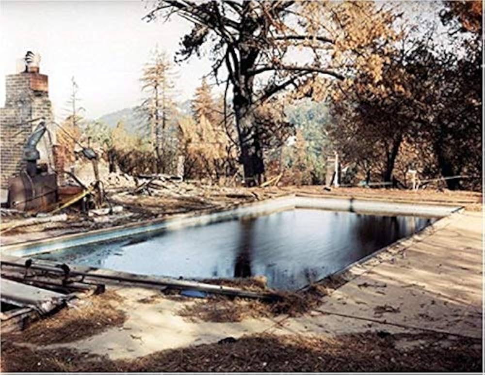 Amazon.com: Richard Misrach: Chronologies: 9781933045283: Misrach