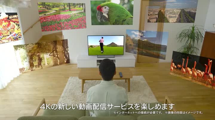 Amazon | パナソニック 40V型 液晶テレビ ビエラ TH-40DX600 4K USB