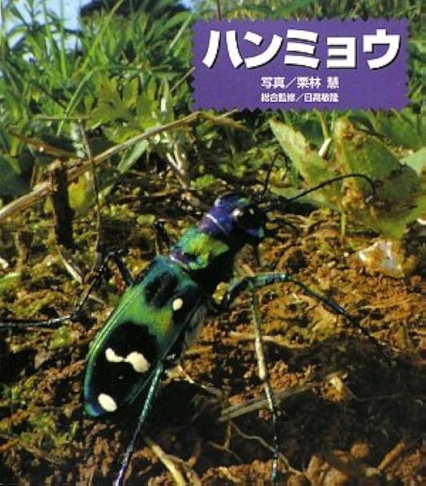 ハンミョウ | 栗林 慧 |本 | 通販 | Amazon