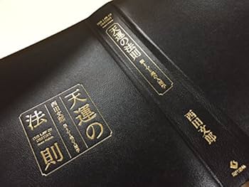 51vS2TYjLvL._AC_UF350,