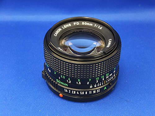 Canon New F-1 AE ファインダー NewFD 50mm f/1.4 Canon New F-1 AE
