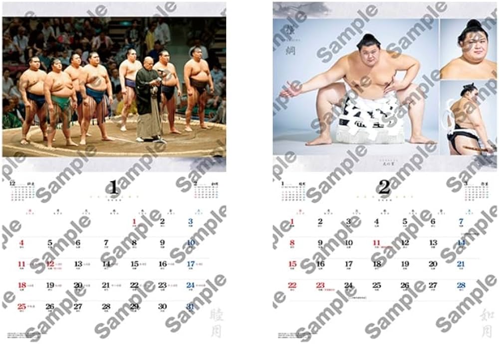 Amazon | 令和八年 大相撲カレンダー 2026年版 令和8年 壁掛け