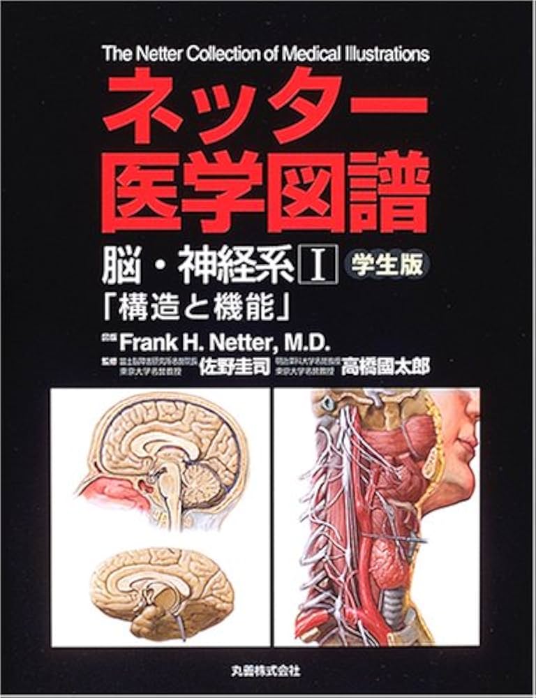 ネッタ-医学図譜: 学生版 (脳・神経系 1) | Frank H.Netter |本 | 通販