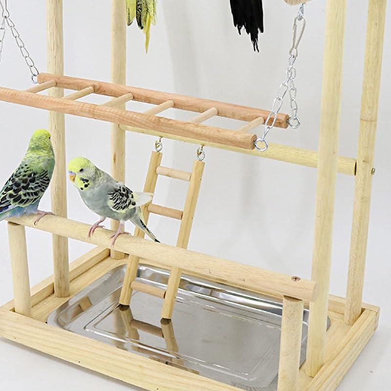 Amazon | 鳥の遊び場 止まり木 バードスタンド 天然木材 鳥 小鳥 文鳥