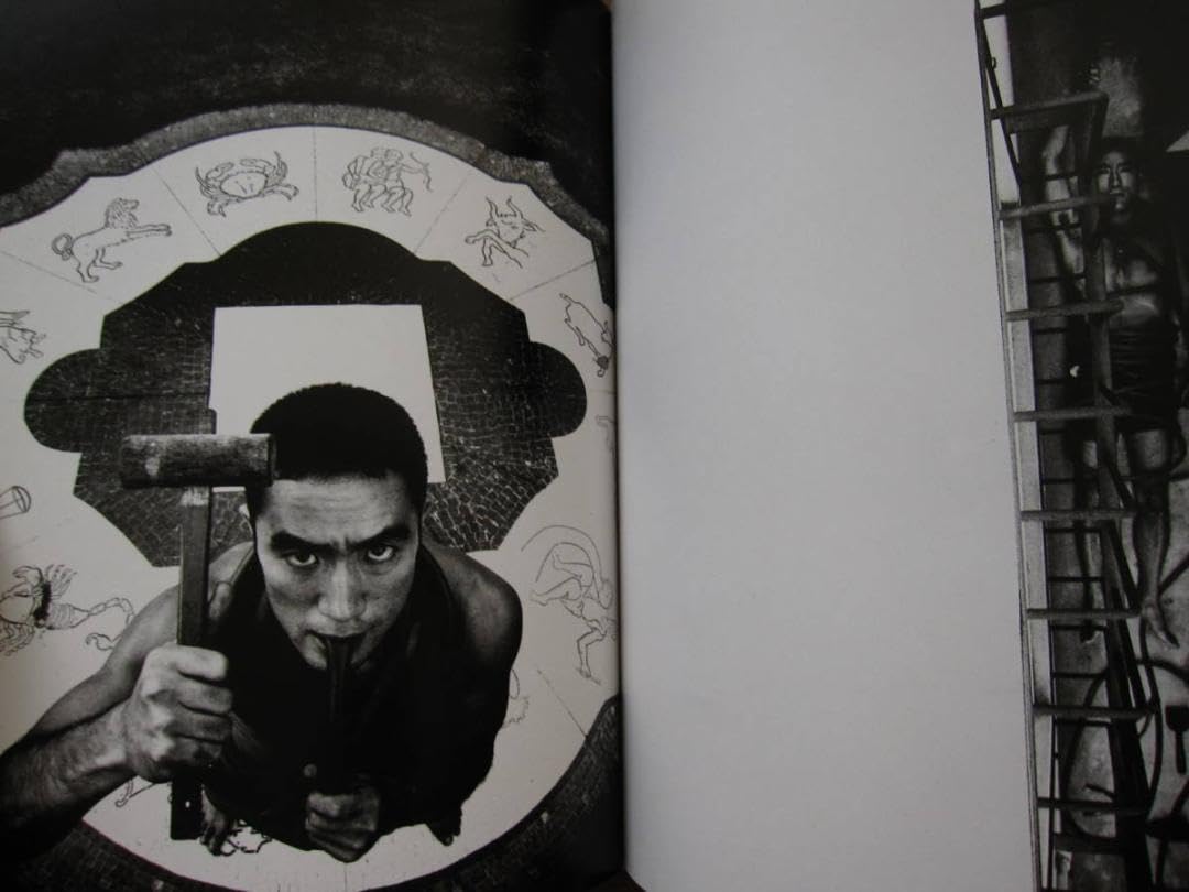 Amazon.co.jp: 薔薇刑 細江英公 三島由紀夫 初版 帯付き : おもちゃ