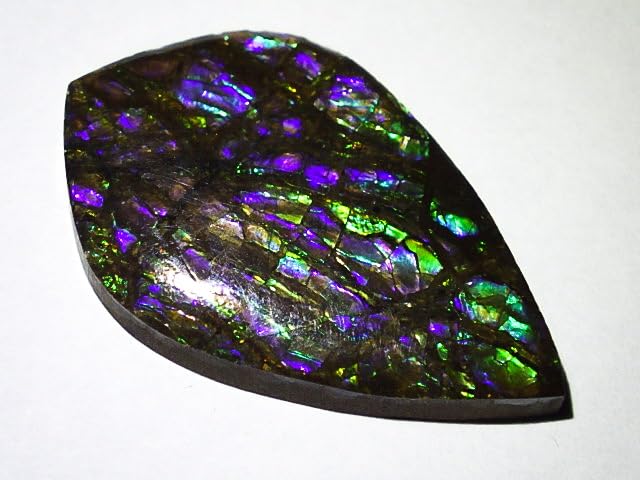 Amazon.co.jp: 蛍光に光る古代の化石アンモライト27.4mm27.6ct