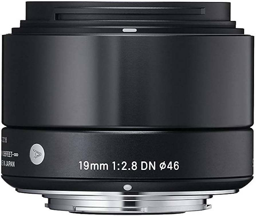 Amazon.com : Sigma 19mm F2.8 EX DN Art (Black) for Sony SE