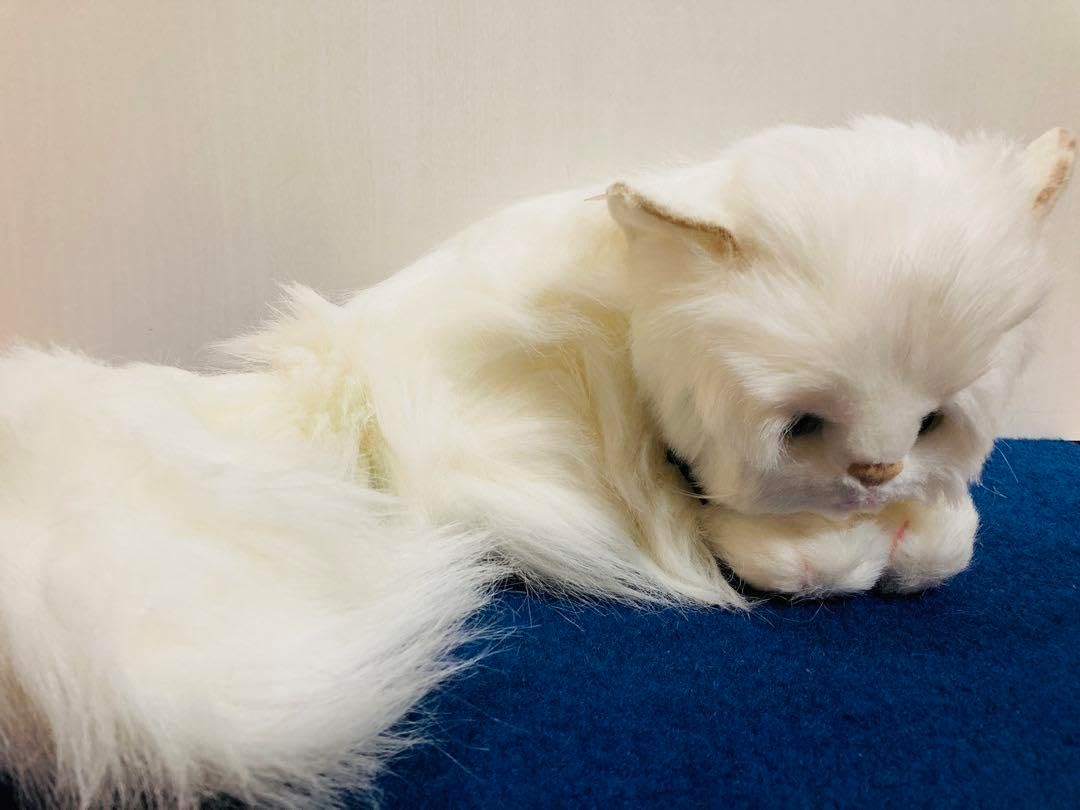 ペルシャ猫 オオイケ 昭和レトロ ぬいぐるみ