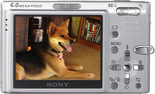 Amazon.com : Sony Cybershot DSC-T9 6MP Digital Camera with 3x