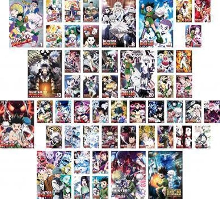 Amazon.co.jp: HUNTER×HUNTER ハンター ハンター 全51枚 TV版全49巻 +