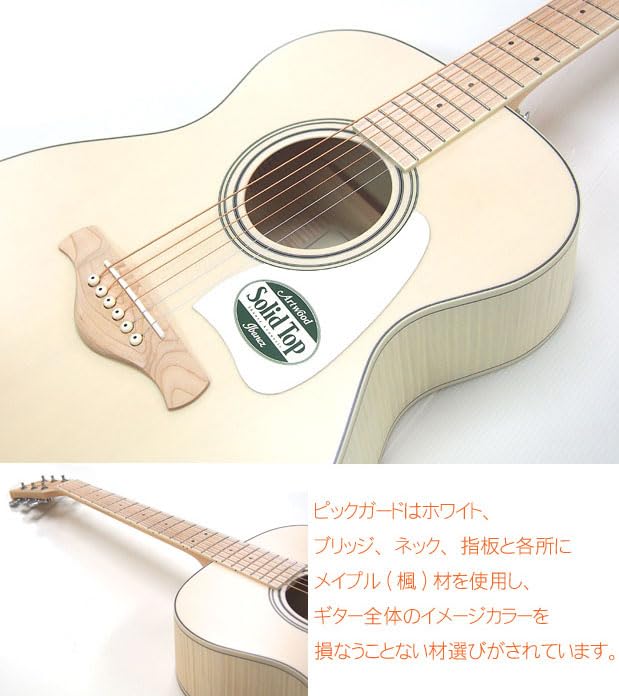 Amazon | アイバニーズ Ibanez AC419E OAW アコースティックギター