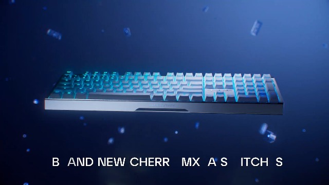 Amazon.com: CHERRY XTRFY MX 3.1 Mechanical Wired Gaming Keyboard