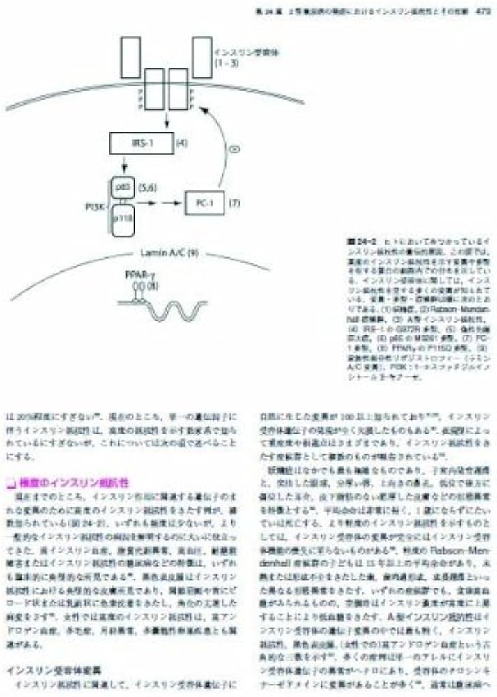 ジョスリン糖尿病学 第2版 | 金澤 康徳, 春日 雅人, 柏木 厚典, 門脇