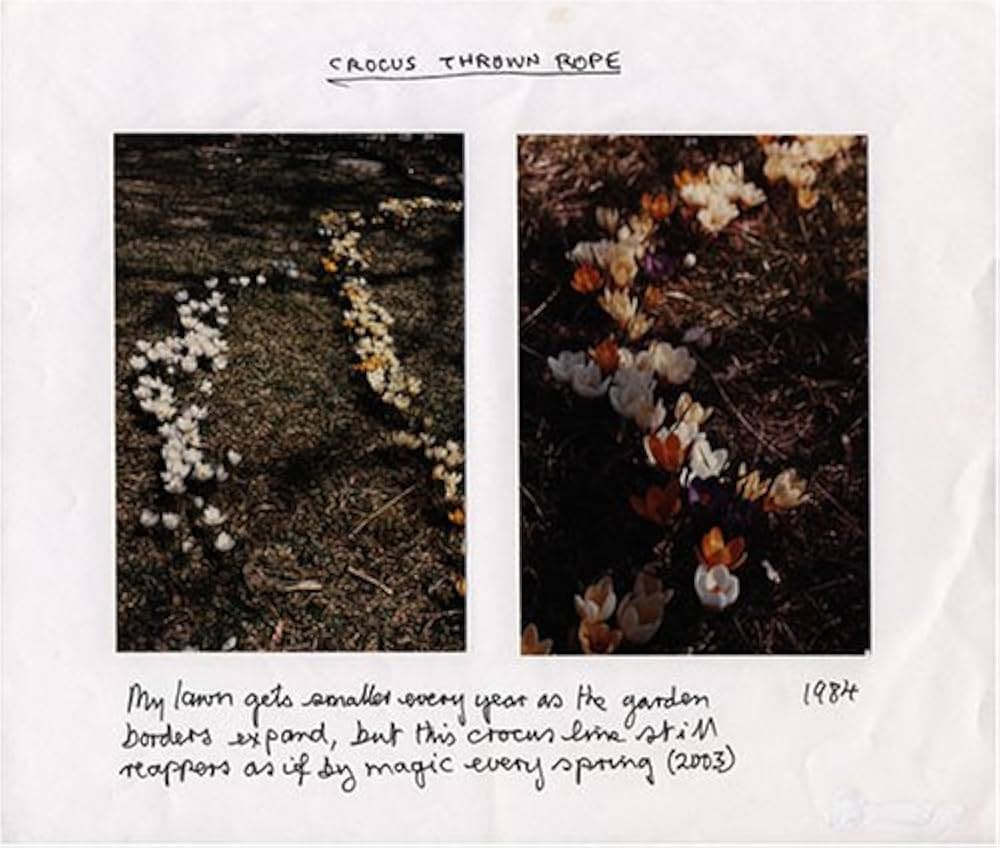 Thrown Rope: Hutchinson, Peter, Beckley, Bill, Ratcliff, Carter