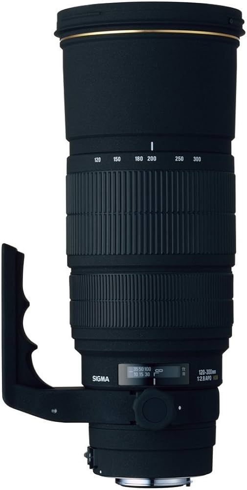 Amazon.co.jp: シグマ 120-300mm F2.8 APO EX DG HSM キヤノン用