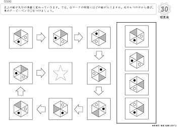 025 ばっちりくんドリル 変化の法則(基礎編) (理英会の家庭学習支援
