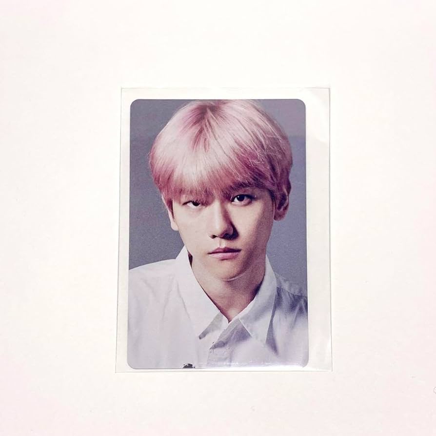 EXO ベッキョン トレカ セット BIRD 【公式通販】