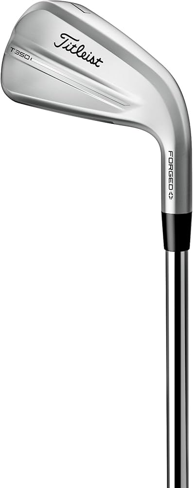 Amazon.co.jp: タイトリストアイアン 25 T350 4G RH NS880AMC S 6-W48