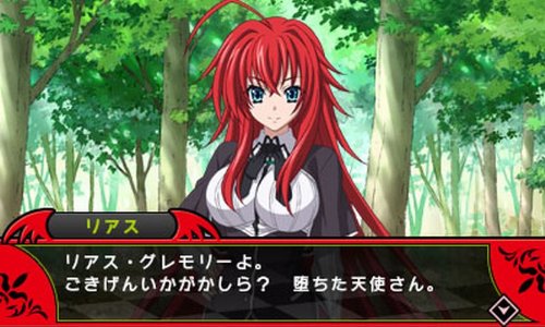 Amazon.co.jp: ハイスクールD×D 通常版 - 3DS : Video Games