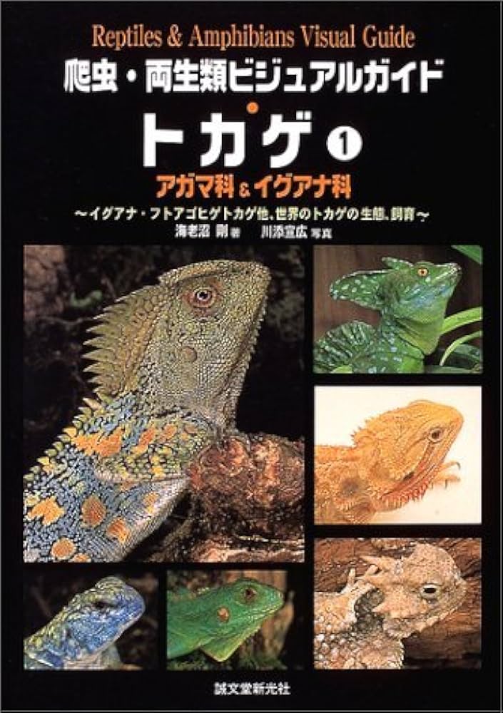 トカゲ 1 (爬虫・両生類ビジュアルガイド) | 海老沼 剛, 川添 宣広 |本