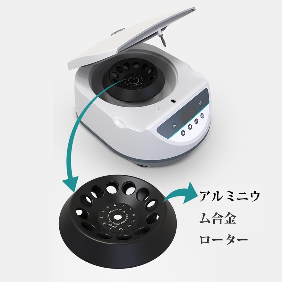 益井三重子、花瓶と花 日本画 益井三重子、花瓶と花 日本画 【公式通販】