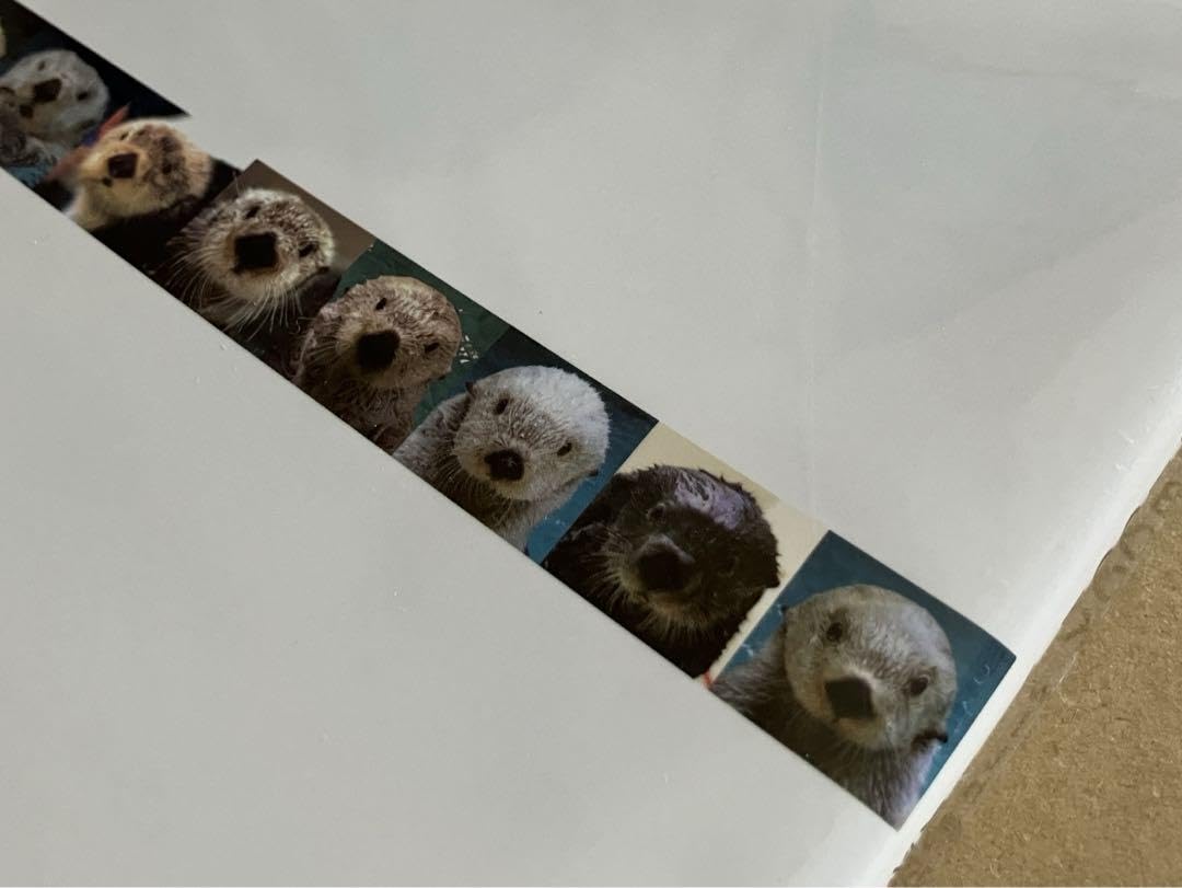 Amazon.co.jp: 鳥羽水族館 ラッコメモリアルBOOK with 鳥羽水のラッコ