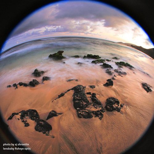 Amazon.co.jp: LENSBABY 魚眼レンズ レンズベビー SCOUT with FISHEYE