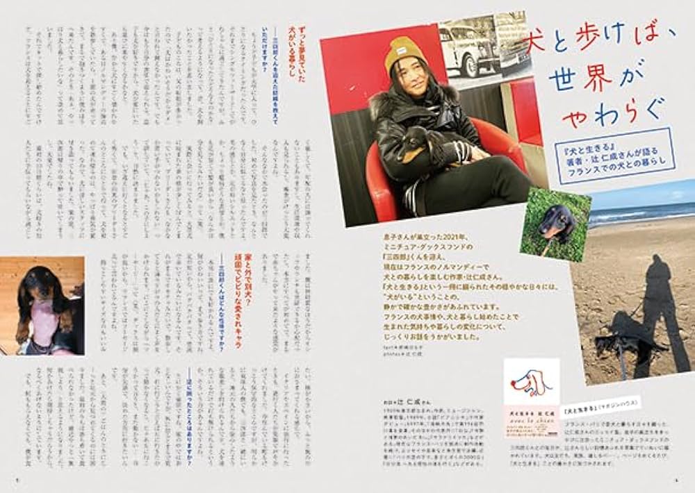 Wan 2025年 7月号＜夏号＞(特集：やっぱりマルが最強カワイイ！)[雑誌