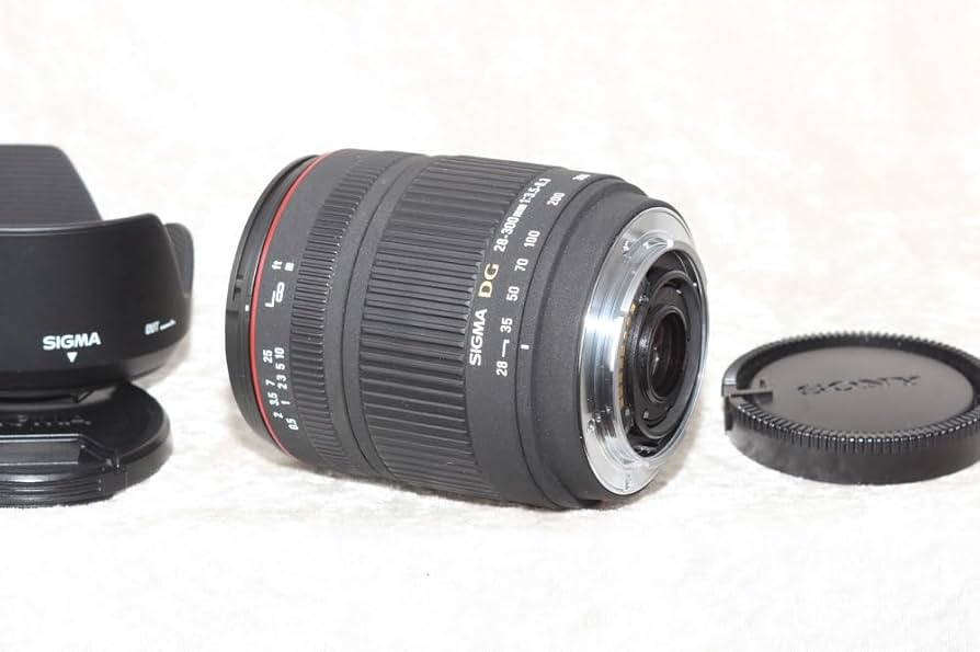 Amazon.com : Sigma 28-300mm f/3.5-6.3 DG IF Macro Aspherical Lens