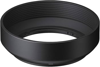 Amazon.com : Sigma 19mm F2.8 EX DN Art (Black) for Sony SE