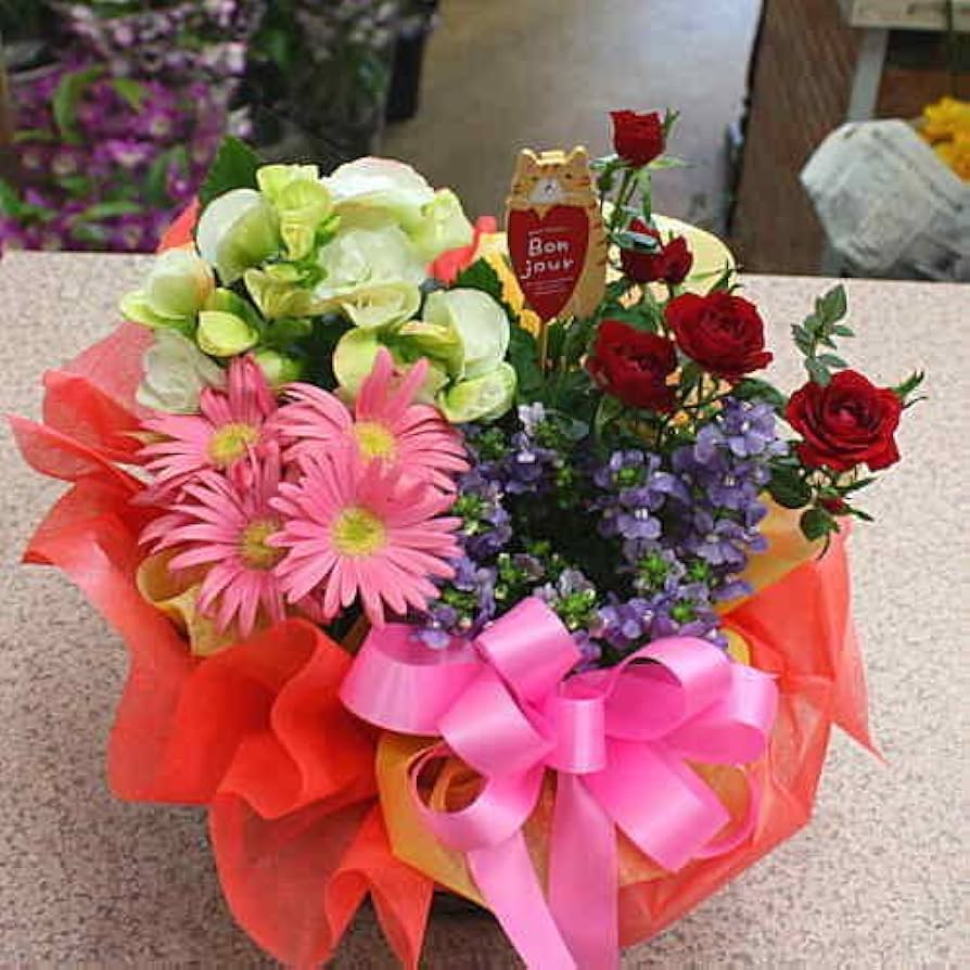 Amazon｜クロスリースタイル 季節の鉢植え 寄せ鉢 M 3から4種類の鉢花