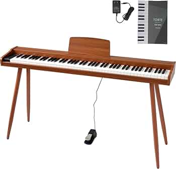 51SnSSpOdcL._AC_UF350,